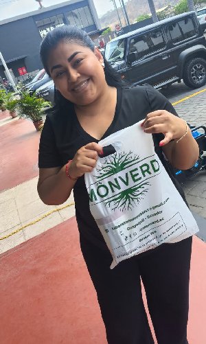 Clientes Monverd (17)